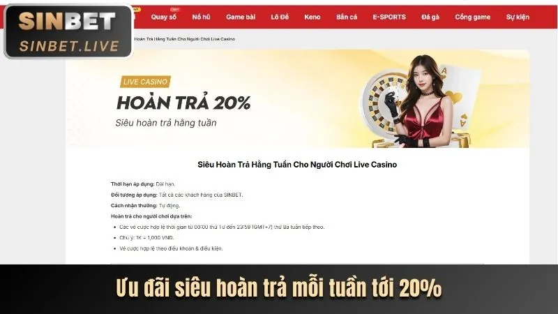 Hình ảnh một người dùng đang điều chỉnh cài đặt cookie trên giao diện web của vnew88 nhà cái